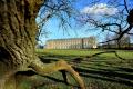 Petworth House and Park: A Great Art Collection in its Original Setting